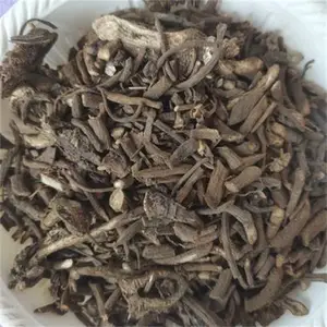 �󼻸� ��յ���� ���� �»� ���� ����ֱ��