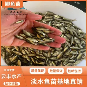 ���������� ������ˮ�� �Ʒ���ֳ��������Ӧ �п�����������