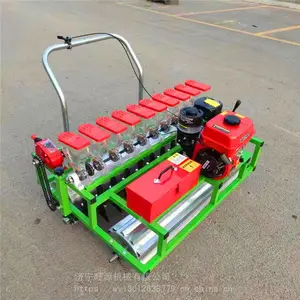 �����߲˾����� ����6�в��ֻ� �⽨���߲˲��ֻ�