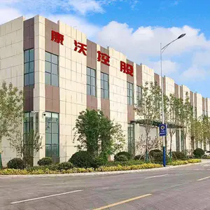 山东康沃控股有限公司