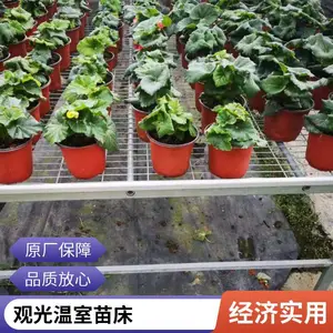 花卉种植 移动苗床 应用广 网孔均匀 运输方便 不易磨损
