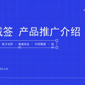 电子签名 对公100份 有限期12个月(可根据需要定制) -亿豪永信