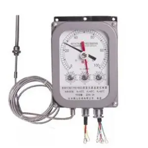 ��ѹ���¶ȿ����� �ͺ�BWY-803ATH/BWY(WTYK)-803 ��ţ�D397073