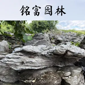 小英石青龙石 盆景鱼缸造景石头 园林假山流水英 德石吨位直 销