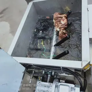 厂家现货供应家禽浸烫脱毛机 自动控温家禽烫毛机 鸡搅拌烫毛机