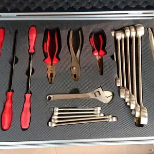 �������鱬�Ϲ���21�� ʯ��ȼ�����޻𻨹��߷���������װ21���� �ɰ��ͻ�����