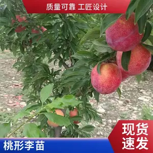 ���´����� ������� ���������� ��Ӳ��С�ڸ�����