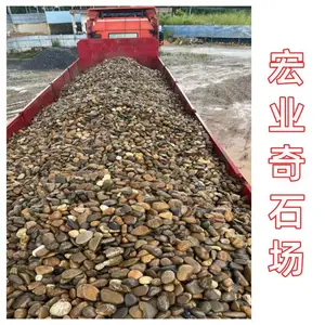 广东鹅卵石现货,5-8公分变电站鹅卵石,水处理滤料鹅卵石现货足