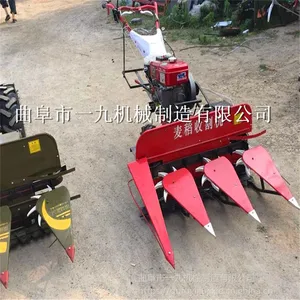��Ӧ���������ǰ�� ũ�ø�ɹ�� «έ�ո�� �������