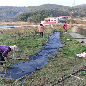 山东果树盖草地布
