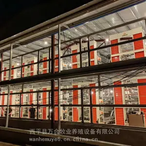 鸡笼厂家供应层叠式蛋鸡笼四层鸡笼皮带清粪机全自动捡蛋机设备