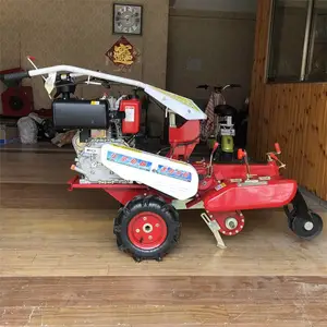 ������ˮ���������� 10������Ǿ������� �ٺ���ֲ������