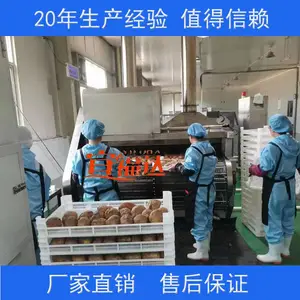 鹏福特推荐电加热红薯烘烤线 地瓜全自动烘烤机 烟薯加工设备