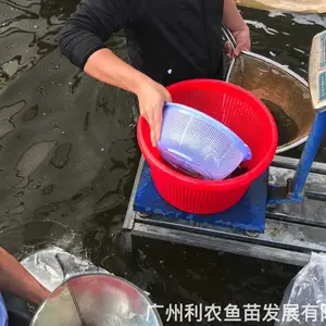 ������������ ������ ����ֳ�������� 3-5���ײ���ֱ��