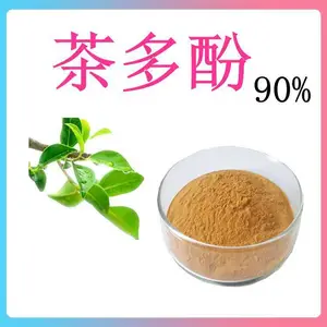 斯诺特生物 茶多酚90% 水溶绿茶粉 多规格含量供应中