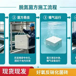好氧反硝化脱氮菌砖 微生物菌方 黑臭水体治理 缓释菌块