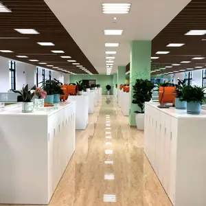 广州花木租摆服务方案办公室绿植盆栽怎么收费
