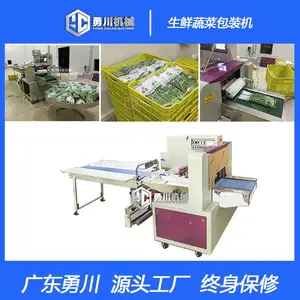 全自动勇川机械YC-350玉米套袋包装机设备