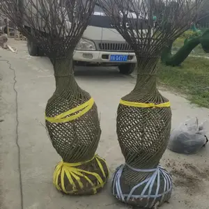 ��ޱ��«��֯ �컨��ޱ���� ��ޱ��֯����Ʒ 3�׸���ޱ