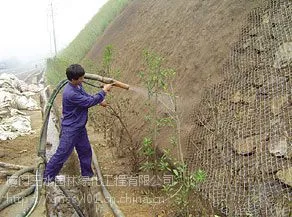 六盘水边坡支护客土喷播常用的草种草籽有哪些