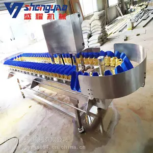 多功能重量分选机 苹果称重分拣机