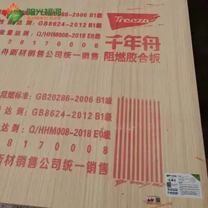 ���� ��ȼ�� B1�� ����e0����ȼ������9mm ��������