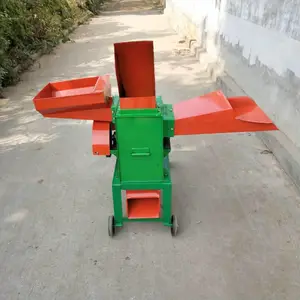 ��Ӧ��ֳ�����������׽ո�ա�ݻ�_�ַ��е�����ա����˿��