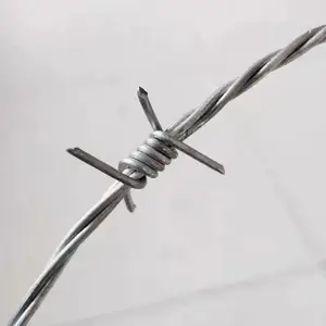 �ȶ�п���� ������������� Χǽ������˿