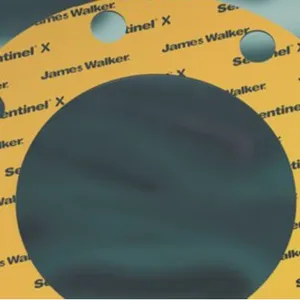 Ӣ��JAMES WALKER��Ȧ��ƬCNAF�͵�Ƭ��ʯ����ճ�ϰ����