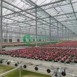 航迪苗床 自动物流苗床供应商 可按需定制设计安装