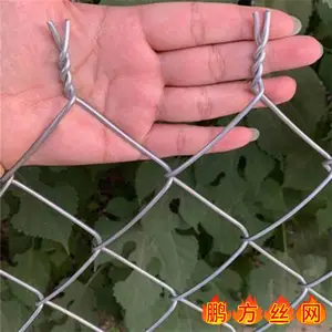 加硬加粗镀锌铁丝网 喷浆护坡编织勾花网 机械防护包塑菱形网