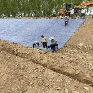 怒江速干水泥毯厂家,水渠10kg防渗毯 工程8公斤针刺复合水泥毯 浇水固化