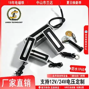 兰达-条状电磁铁 可长时间通电 吸力800N 源头厂家 直流12v/24V/36V