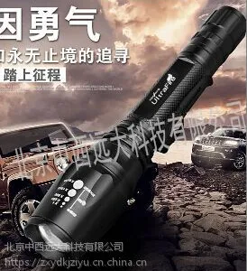 LED光手电筒 型号:397352库号:M397352