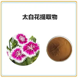 沃特莱斯生物 太白花提取物10:1 速溶粉 多规格可定制 棕黄色粉末