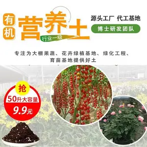 安徽种植营养土 专业大棚果蔬花卉 绿萝专用有机营养土选聚科营养土