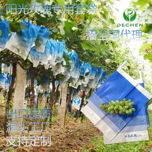 �³���������õ�����ѣ����������״����ư�ɫ�����״�