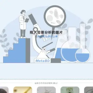��������ֲ������Ǵ��� ���պ��ڰٵ�����Ƽ���Ӧ