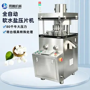 软水盐全自动旋转式压片机 消毒片盐球盐片压片制片机