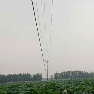 藕塘抢修工程