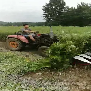 ���������ո���������� ΢�͸������������