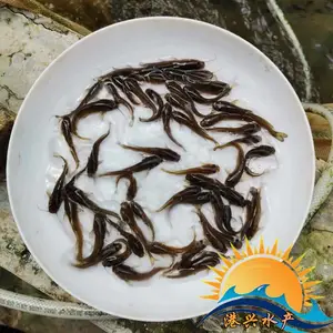 ǯ�������ֱ�� ��ˮ���������������۸��ȶ� ���������ȶ�