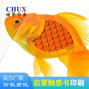 精装立体书儿童看图识字出版社商务图册杂志绘本翻翻书印刷定制
