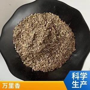 石辣椒中药材 钓鱼专用果酸诱鱼添加剂千里香