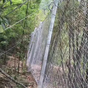 ���θ�˿�����ļҺ�-���θ�˿��������-���θ�˿����������