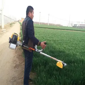����ʽ��Ұ�ݻ� ���ǵػĵظ�ݻ� ��԰�Ӳݳ��ݻ� �Ʒ�