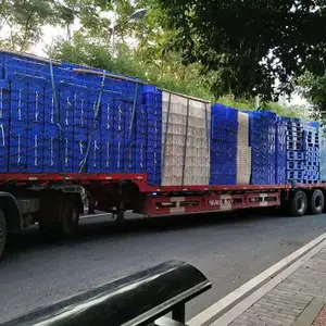 ����1111�������ֺ�ɫ��������һ���Գ��� ��������