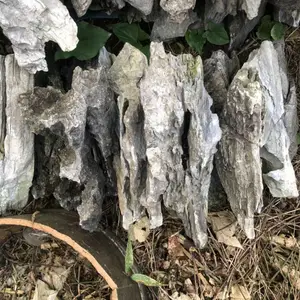 原产地批发英石 精品附树石 树抱石 盆景英石