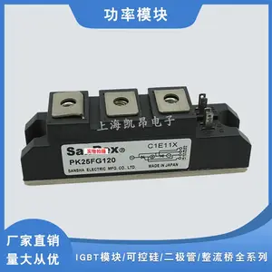ȫ��PK25FG40 PK25FG60 PK25FG80�ɿع�ģ��ԭװ�ֻ�