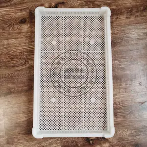 PE冷冻盘冰盘 塑料烘干盘 透气塑料网格晾晒筐 建伟塑业单冻器